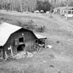 Veterans Healing Farm, Henderson County, North Carolina.